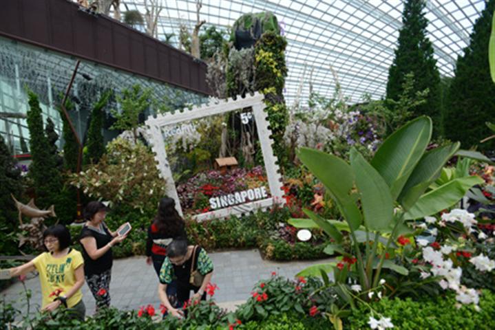 新加坡滨海湾花园_迈丘设计